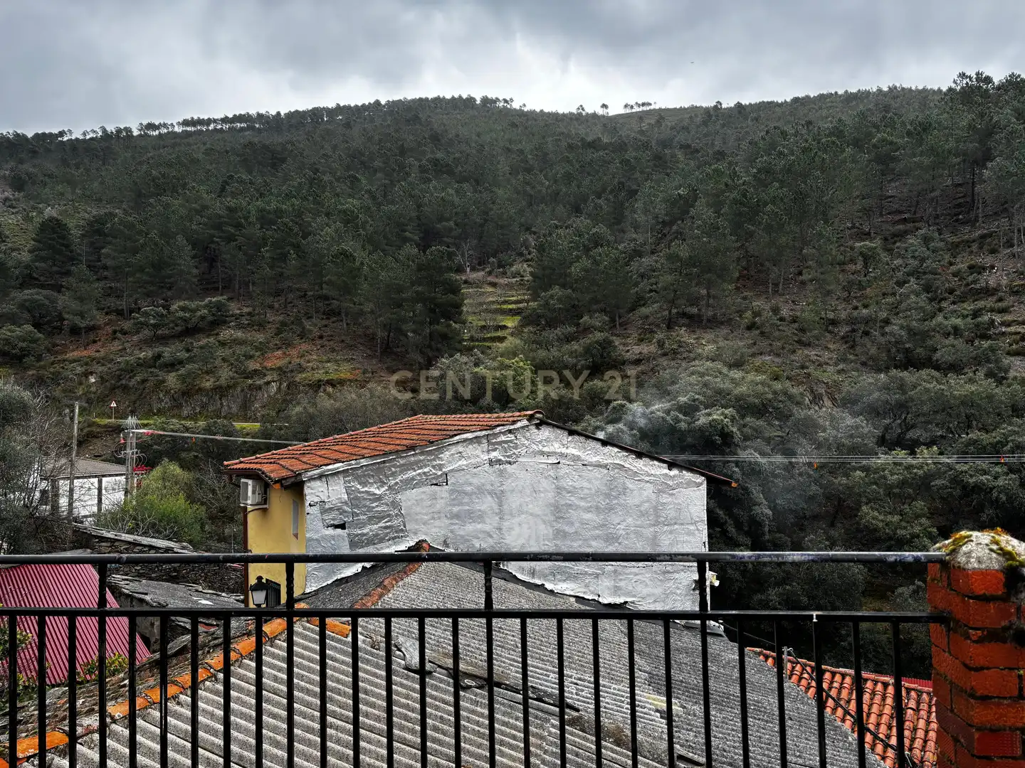 Exterior view of Houses for sale in Pinofranqueado