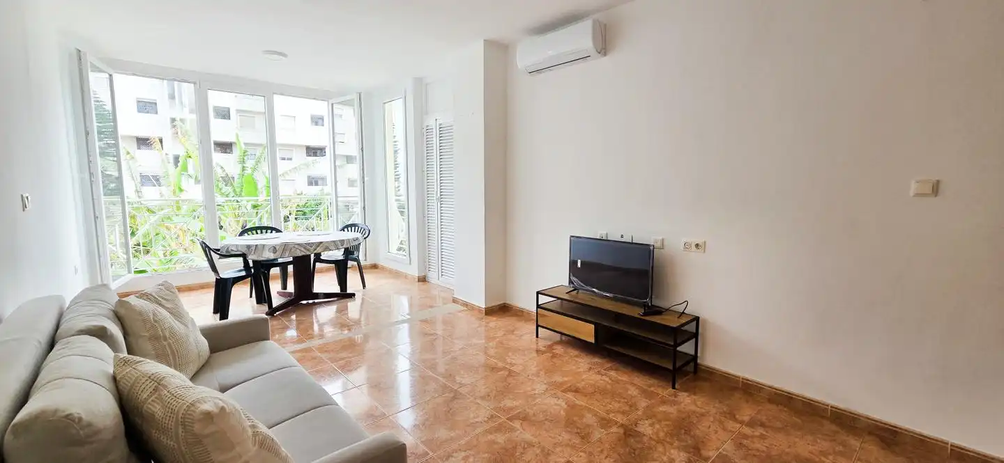 Living room of Flat for rent in Alicante / Alacant  with Furnished and Community pool