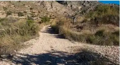 Terrenys i solars en venda a Abanilla, imagen 2