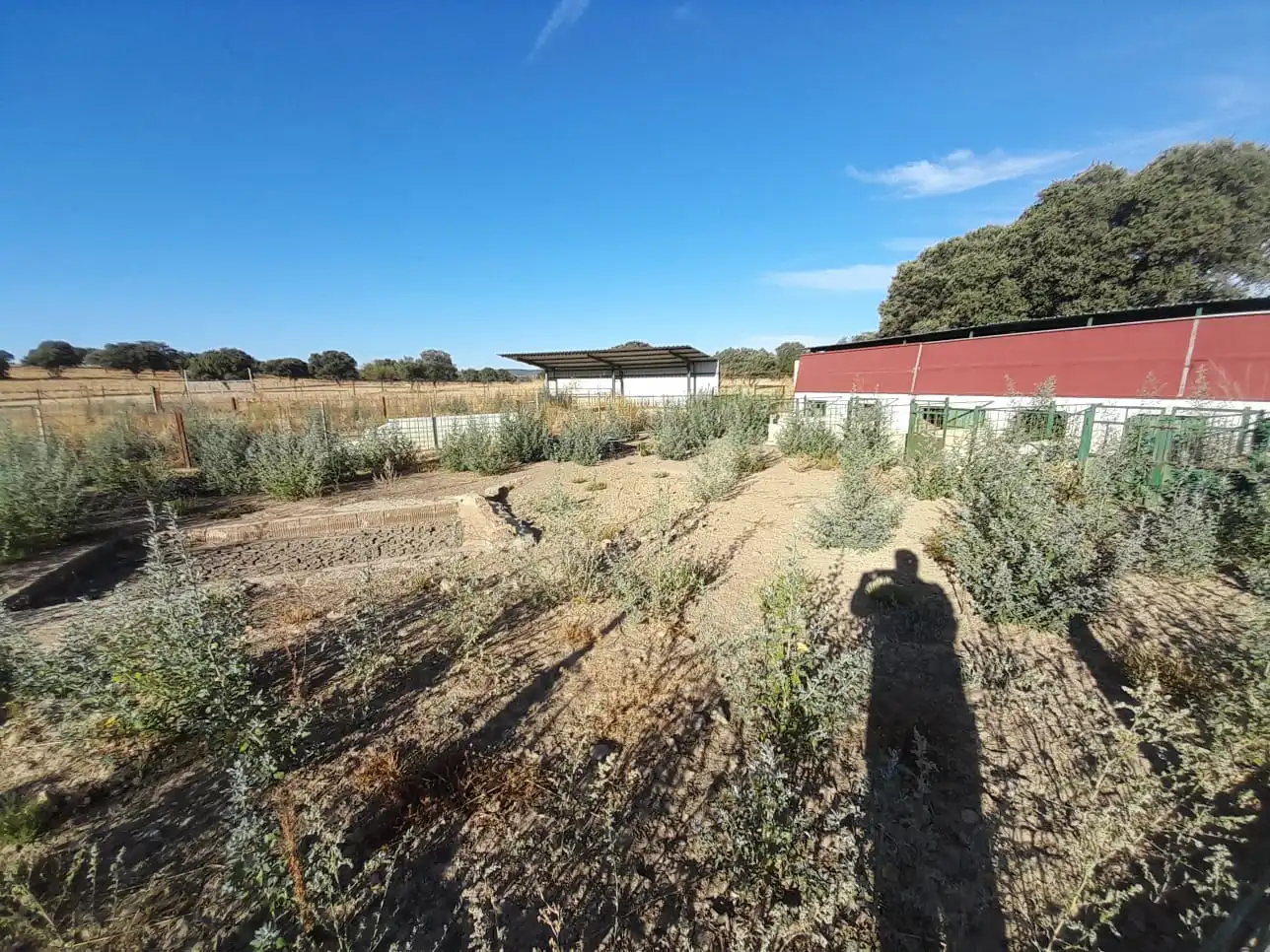 Finca rústica en venta en Almodóvar del Campo con Aire acondicionado y Calefacción