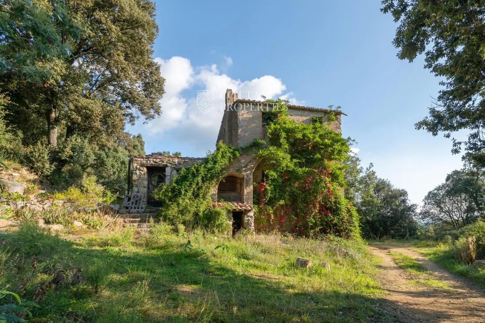 Finca rústica en venta en Maçanet de Cabrenys