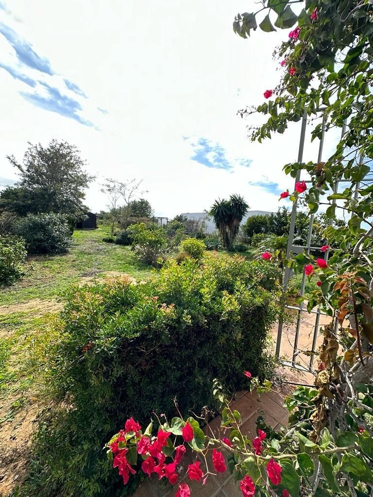 Finca rústica en venda en Chiclana de la Frontera amb Jardí privat i Traster
