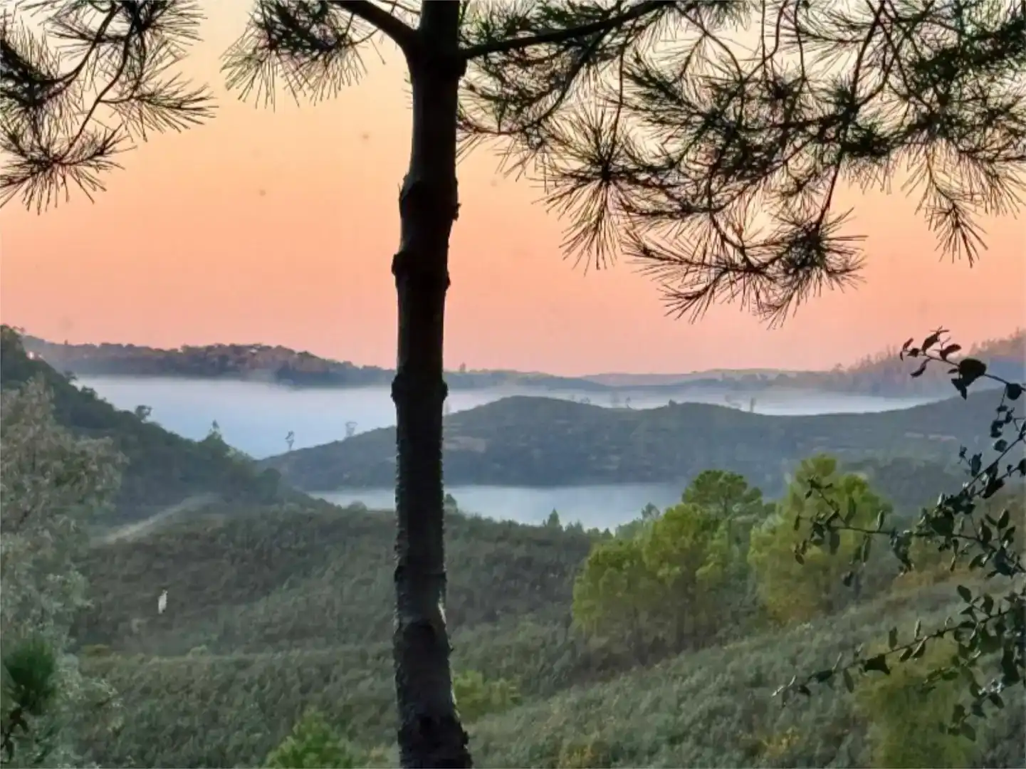Vista exterior de Finca rústica en venta en El Madroño con Aire acondicionado, Jardín privado y Parquet