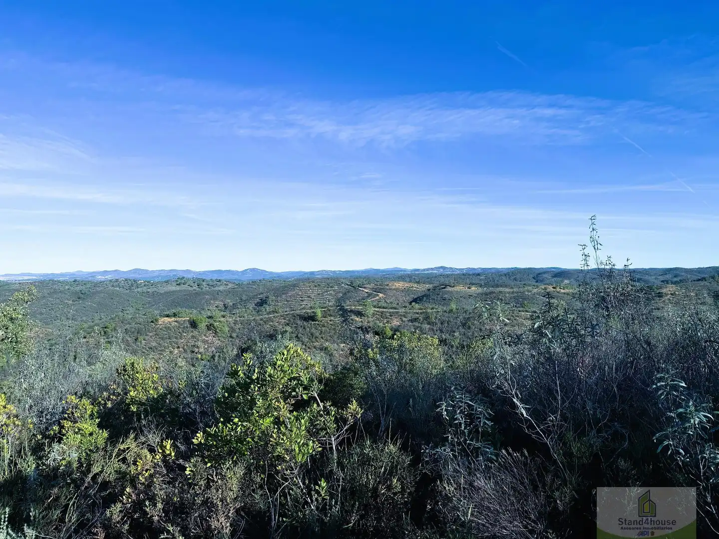Finca rústica en venta en Berrocal
