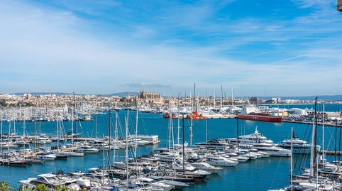 Photo 4 of Flat for sale in El Terreno, Palma de Mallorca