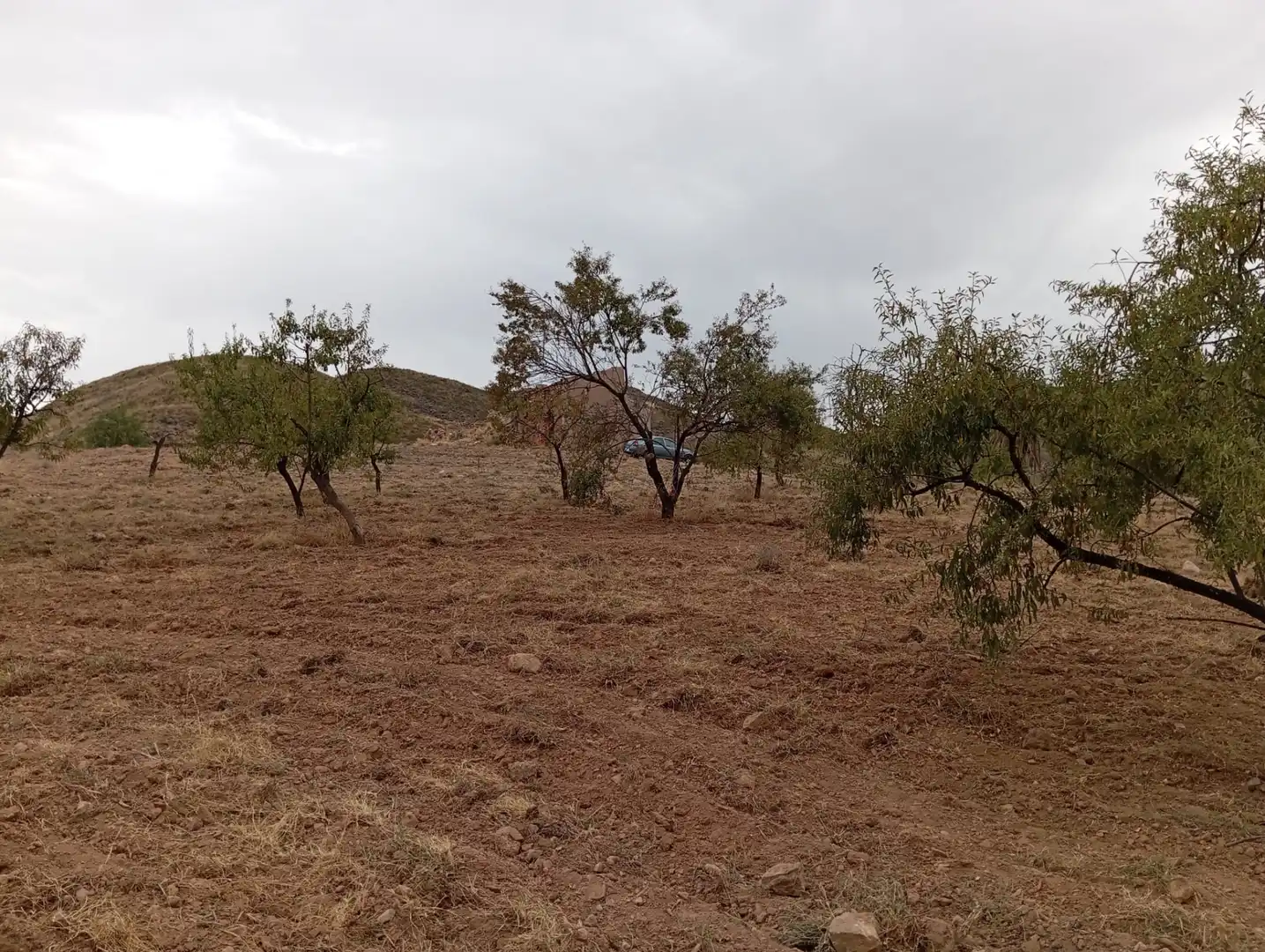 Terreni e lotti in vendita a Bolnuevo, imagen 23