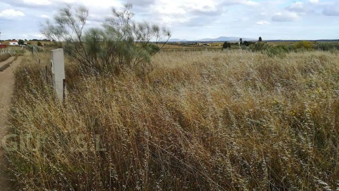 Terreni e lotti in vendita a Valdesalor - Rincón de Ballesteros, imagen 14