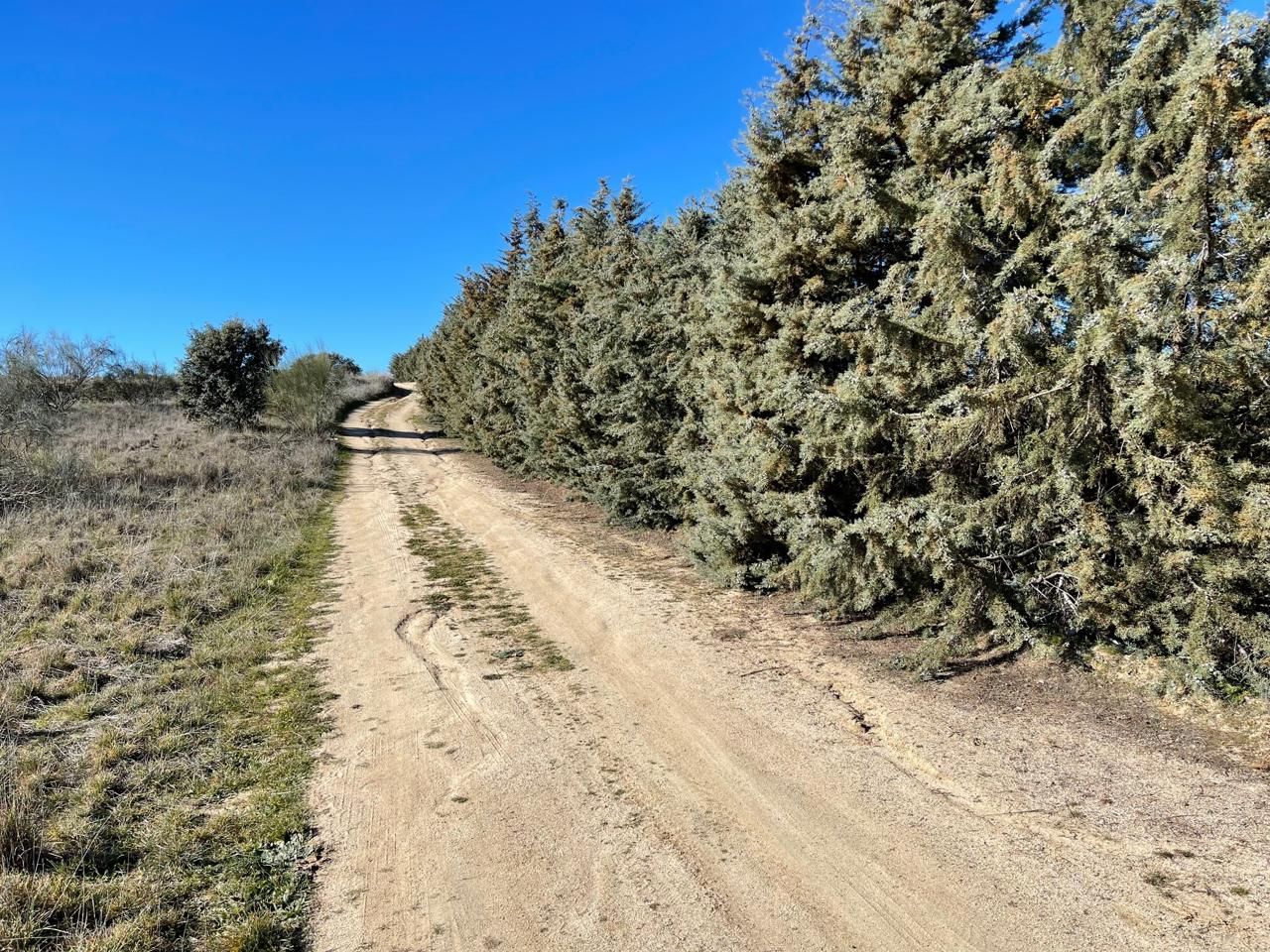 Residential for sale in Navalcarnero