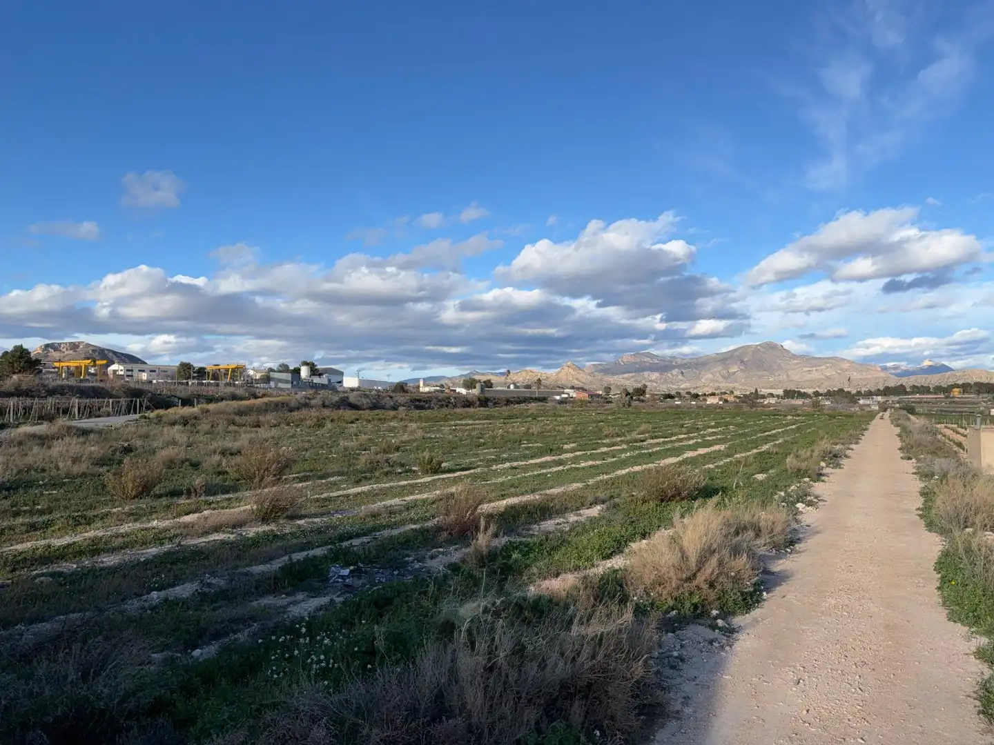 Rural land for sale in Novelda, imagen 2