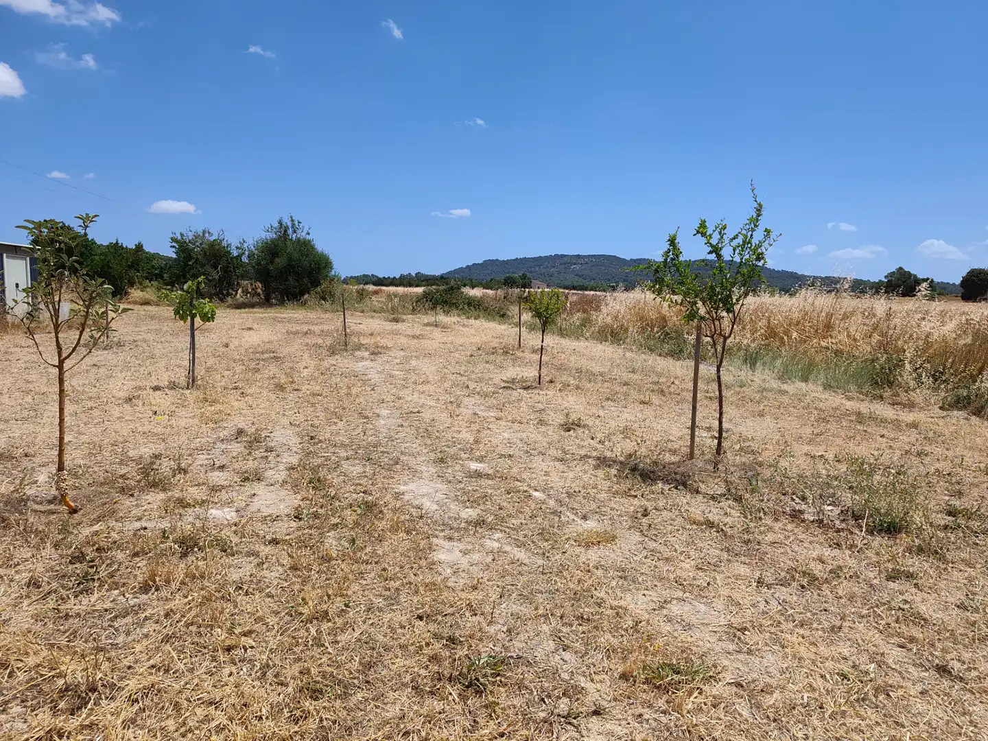 Terreno en venta en Sant Joan