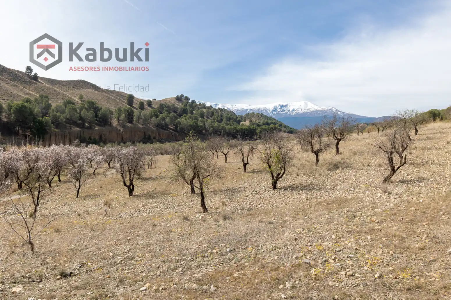 Terreni e lotti in vendita a Guadix - AUTE. VALLE DEL ZALABI, imagen 5