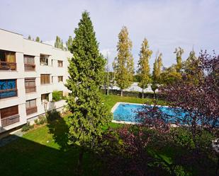 Piscina de Estudi en venda en Las Rozas de Madrid amb Calefacció, Jardí privat i Piscina comunitària