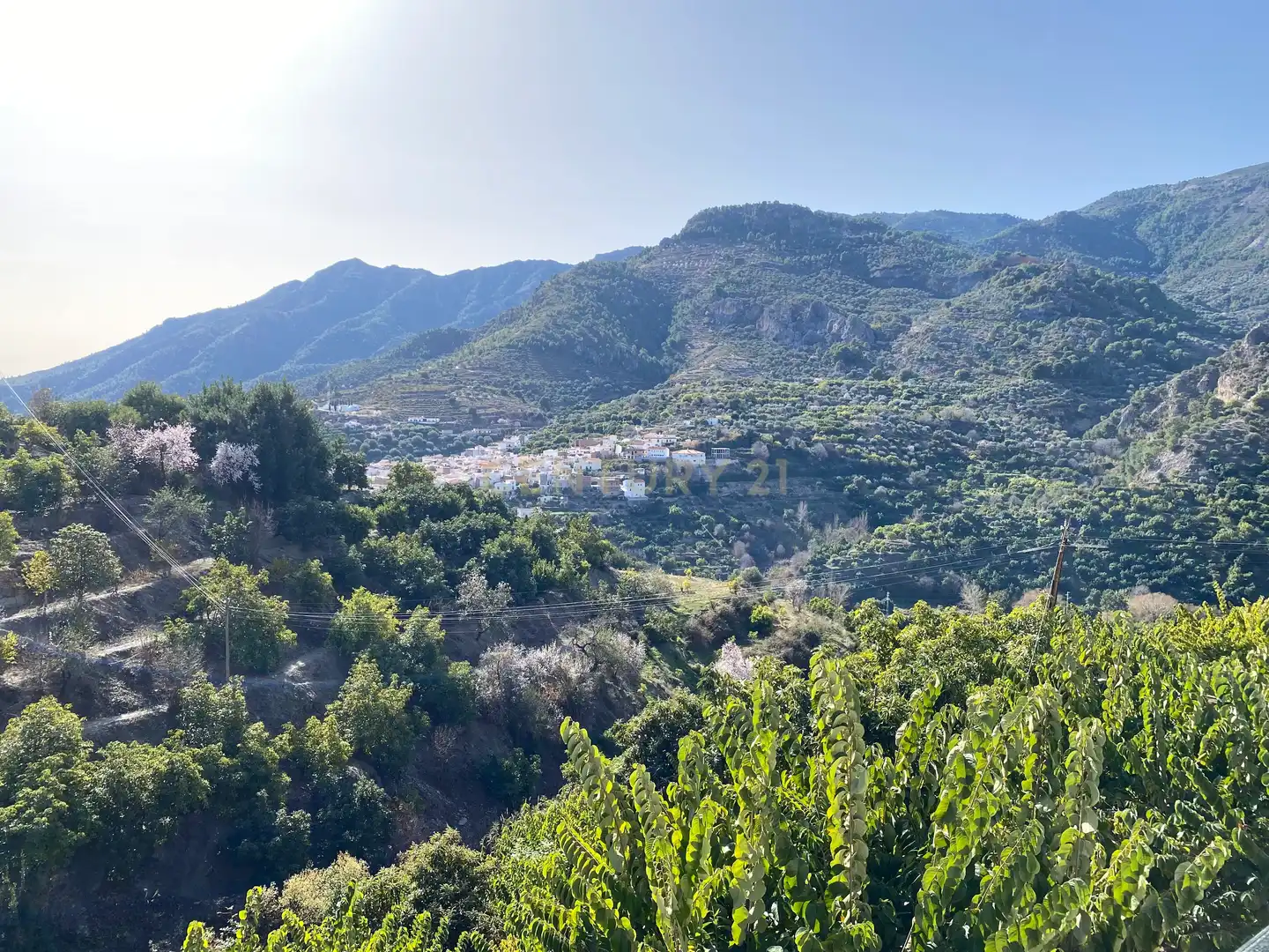 Terreno rustico in vendita a SAN ILDEFONSO 1, imagen 2