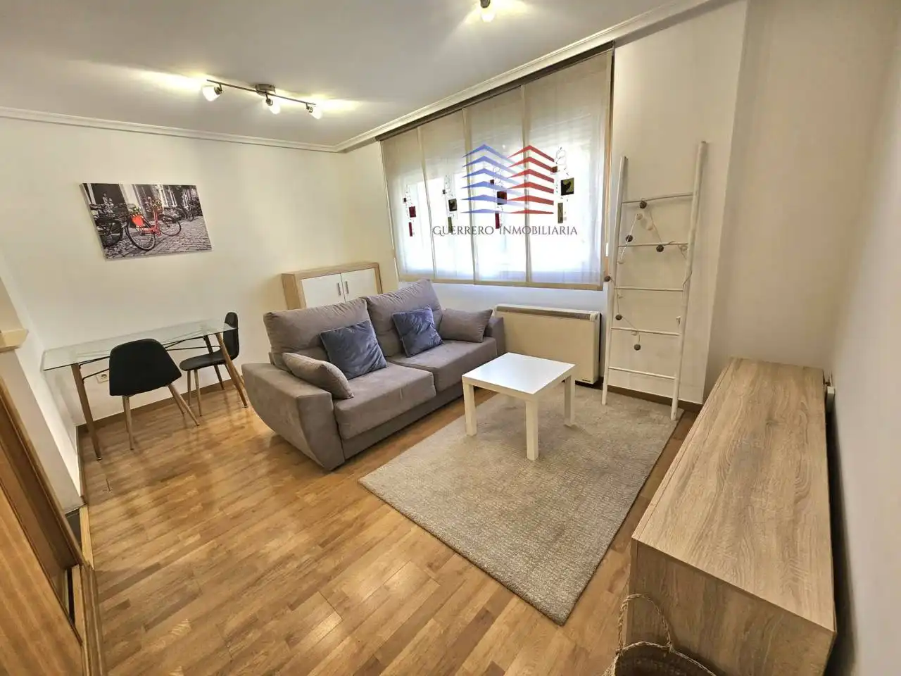 Sala de estar de Estudio de alquiler en Ourense Capital  con Calefacción, Parquet y Trastero