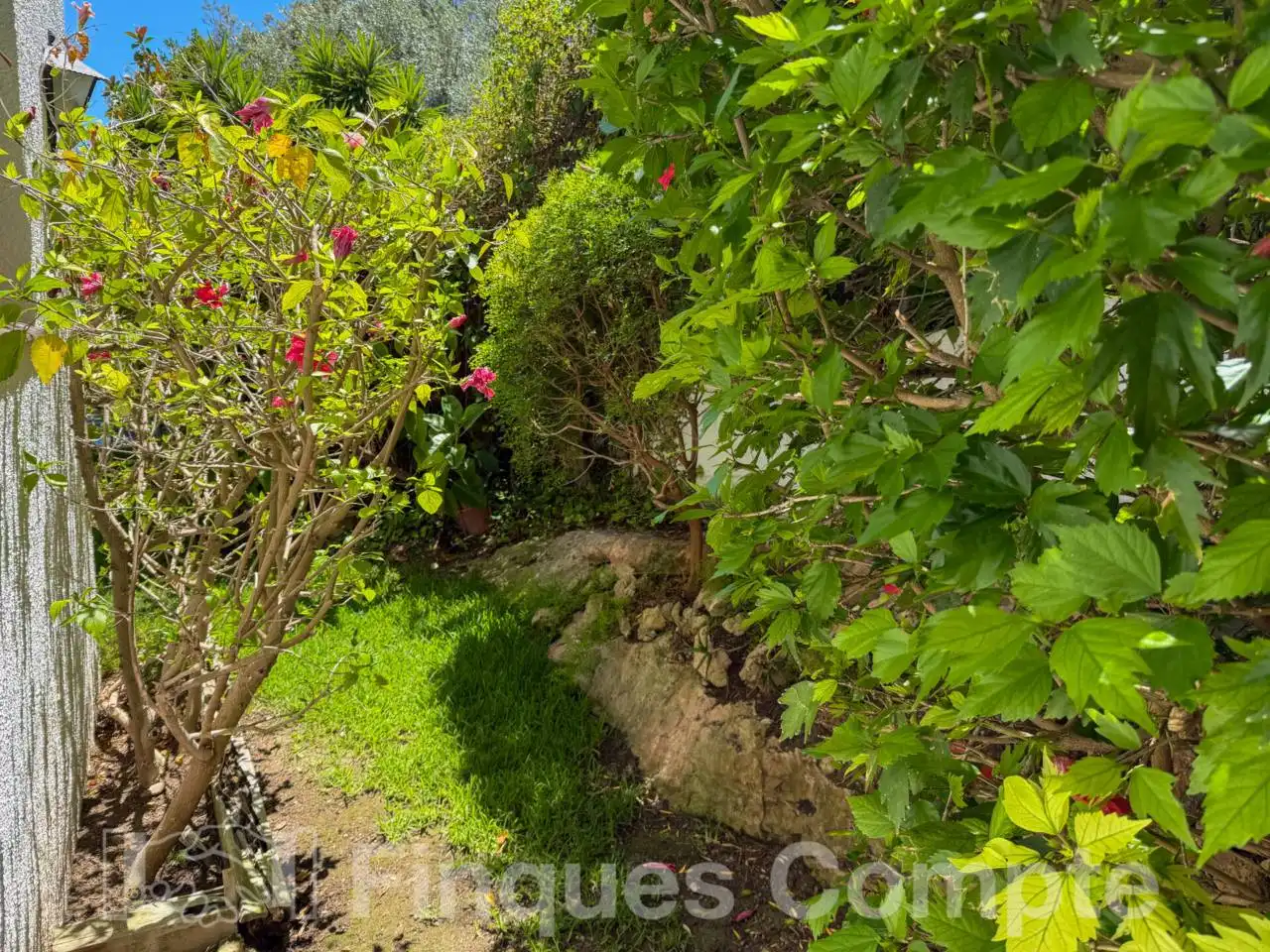 Jardí de Casa o xalet en venda en Roda de Berà amb Aire condicionat, Calefacció i Jardí privat