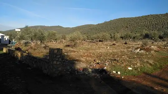 Terreni e lotti in vendita a Pol 2 Cañaveral de León - El Triscal -, imagen 6