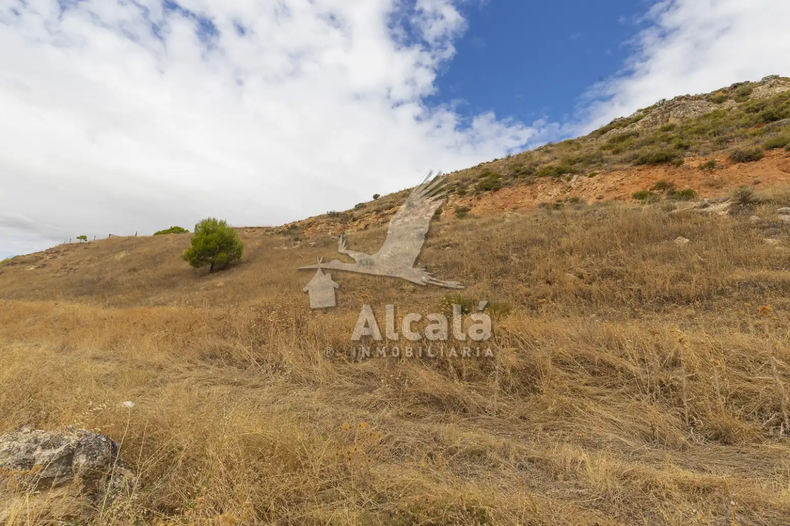 Residential land for sale in Hueva, imagen 11