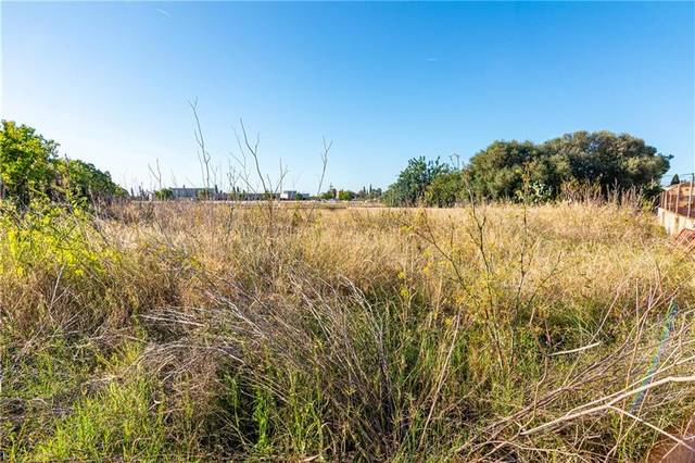 Terreno residencial en Venta en Els pla de na Tesa