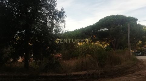 Terreno plano en Canyamars, Dosrius., imatge 4