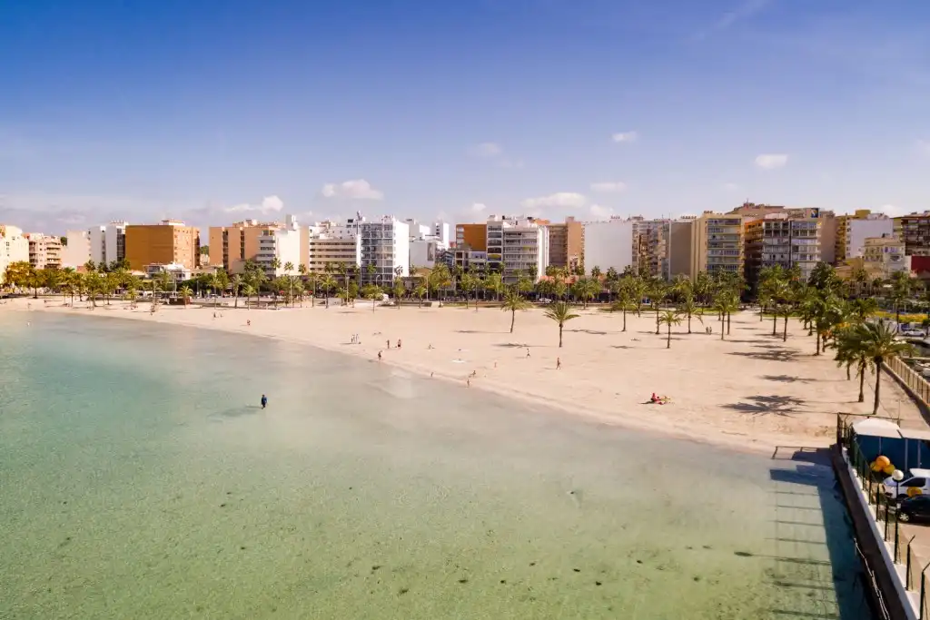 Terreny rústic en venda a Platja de Palma, imagen 3