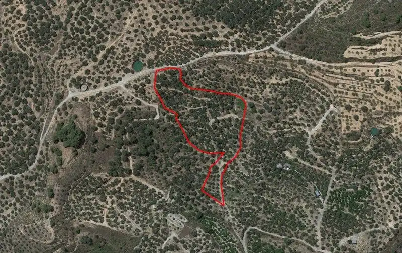 Terreno rustico in vendita a El Valle, imagen 3