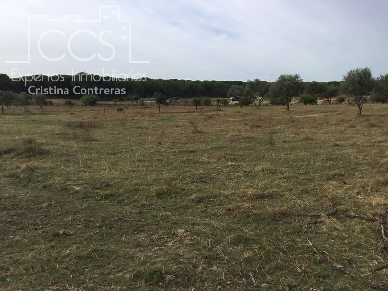 Finca rústica en venta en Almonte