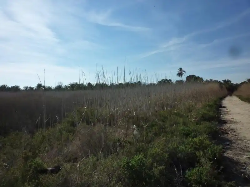 Terreno rustico in vendita a Calle Valle Inclán 7, imagen 15