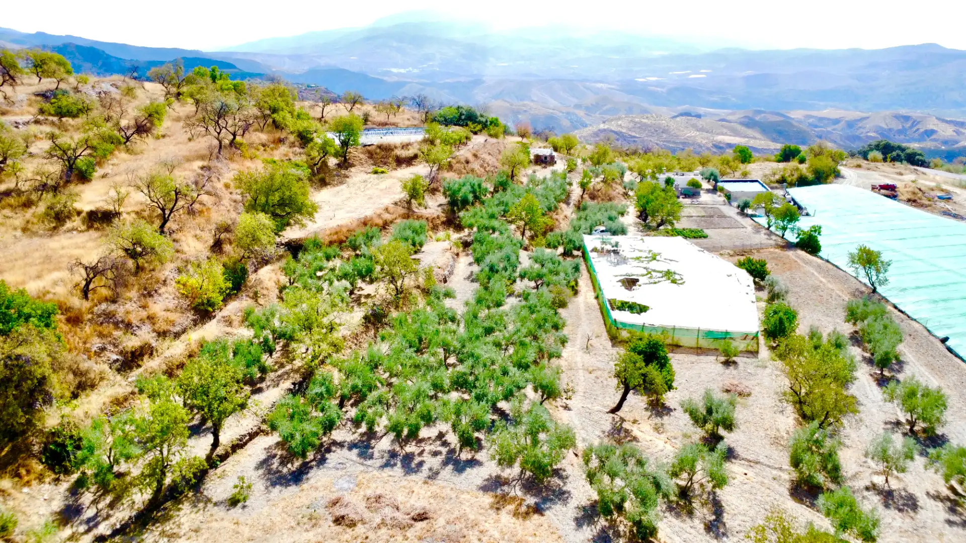Terreno rustico in vendita a N/A, imagen 9
