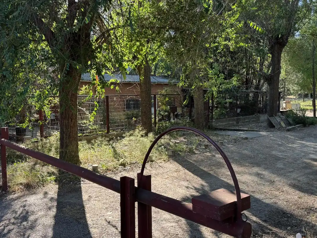 Vista exterior de Terreno en venta en Paracuellos de Jarama