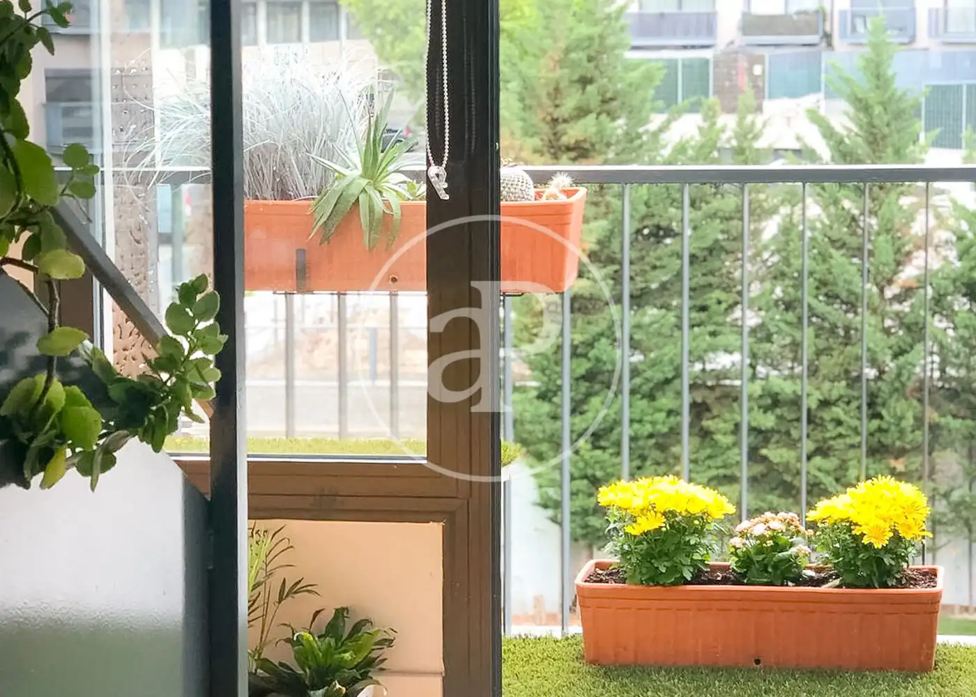 Loft con piscina in vendita a Polígono Industrial Sur, imagen 3