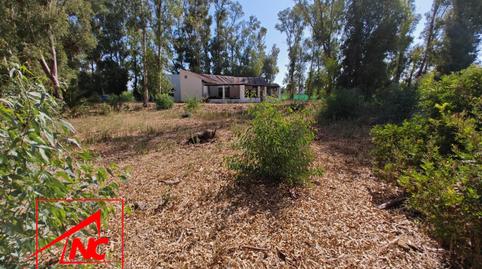 Photo 3 of House or chalet for sale in La Jara, Sanlúcar de Barrameda