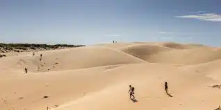 Vista exterior de Casa o xalet en venda en Tarifa amb Jardí privat, Moblat i TV