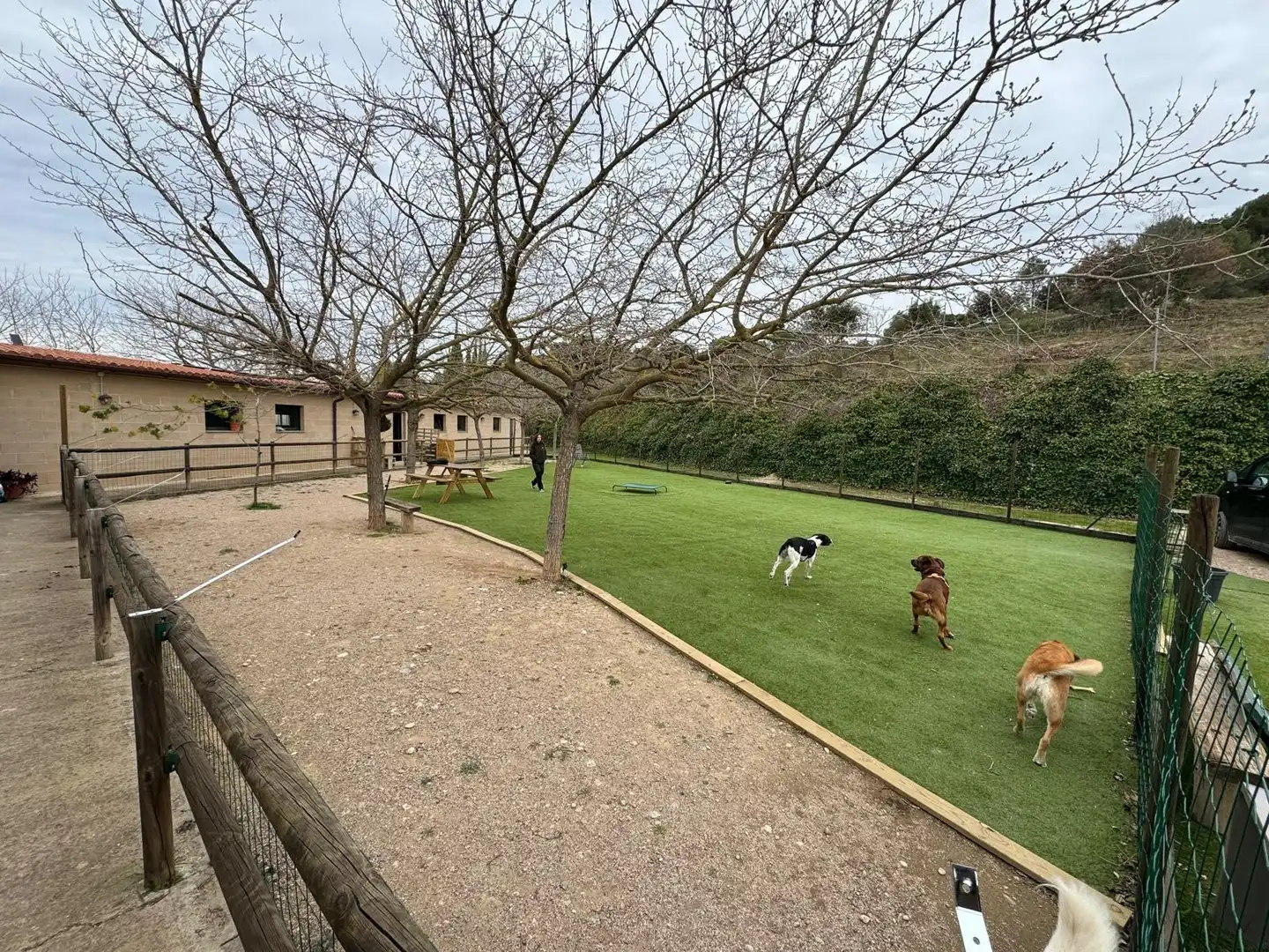 Jardín de Terreno en venta en Abrera