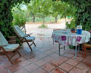 Terrace of Land for sale in Abrucena