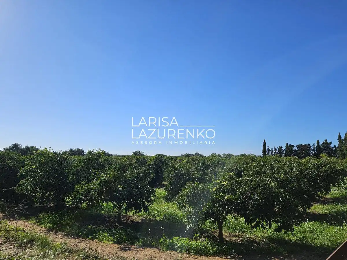 Finca rústica en venda en Vinyols i els Arcs