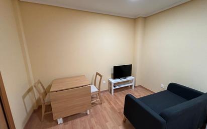 Sala d'estar de Estudi en venda en Palencia Capital amb Parquet, Moblat i Rentadora
