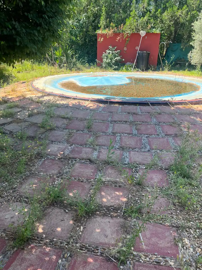 Chalet con piscina en venta en La Carlota, imagen 5