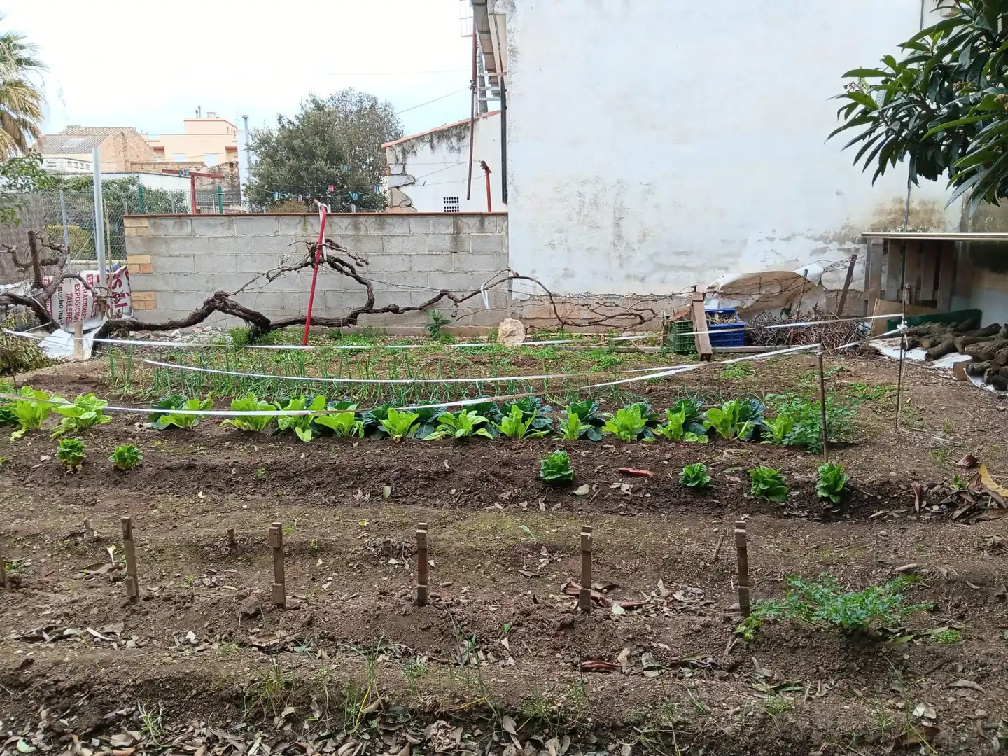 Garten von Country house zum Verkauf in Tortosa mit Heizung, Terrasse und Möbliert