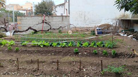 Foto 5 de Finca rústica en venda a Jesús - Els Reguers, Tortosa