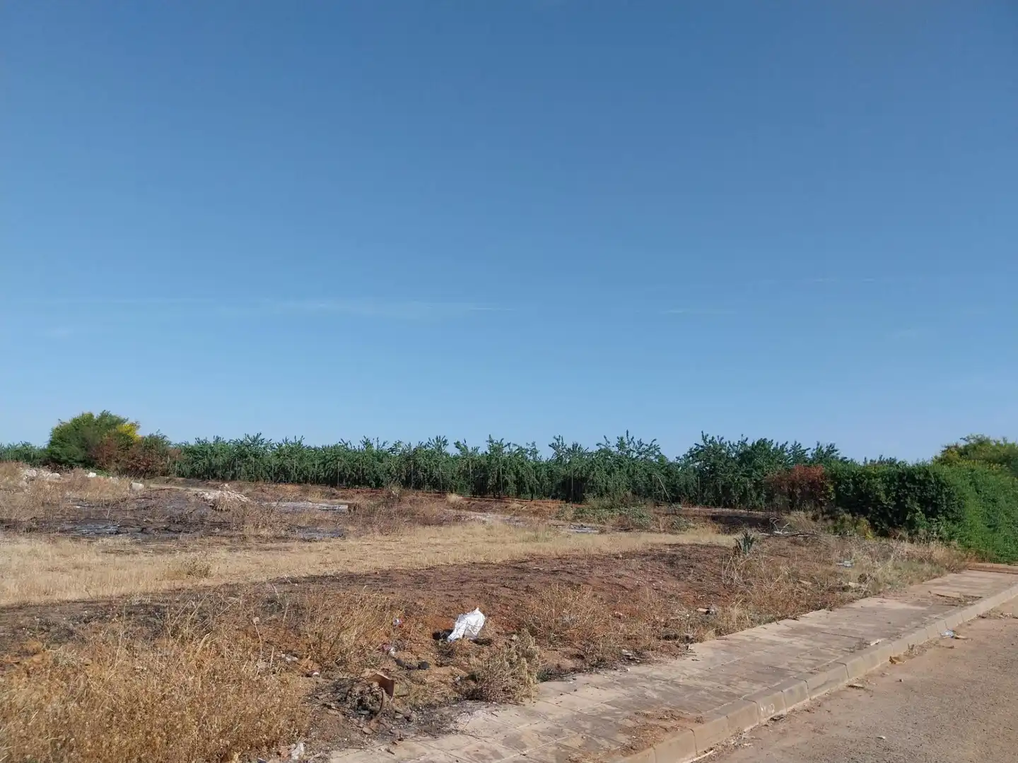 Terreny residencial en venda a lugar De los Quemados, Parc 118
