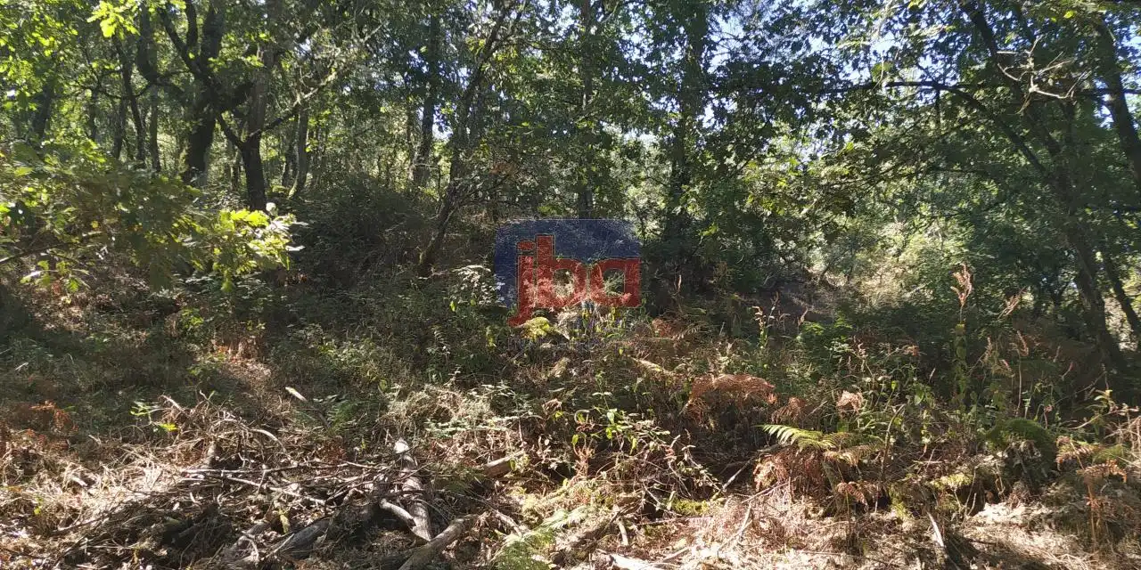 Terreni e lotti in vendita a O Pereiro de Aguiar, imagen 5
