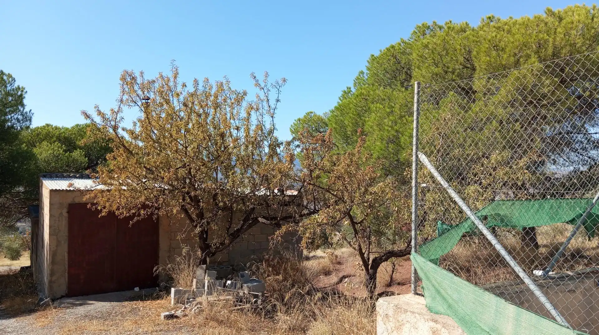 Maison rustique à vendre à Padul, imagen 14