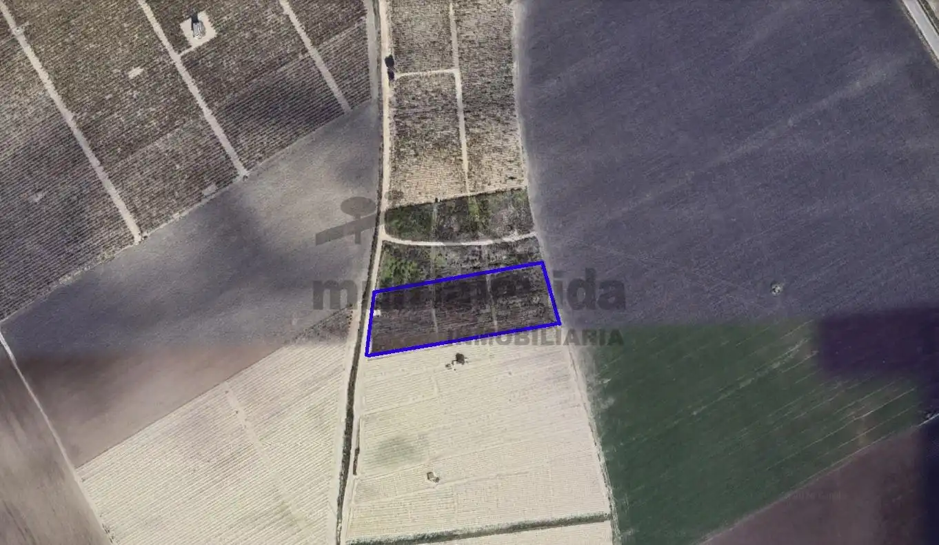 Rustikales Grundstück zum Verkauf in Ctra Jerez - Ctra del Puerto, imagen 2