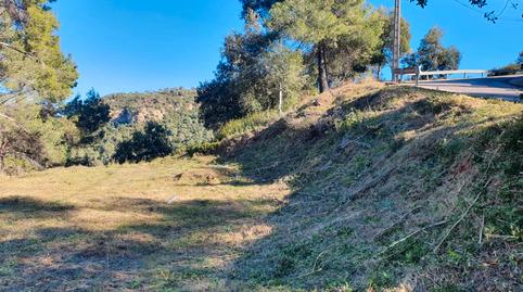 Foto 5 de Residencial en venda a Castellví de Rosanes, Barcelona