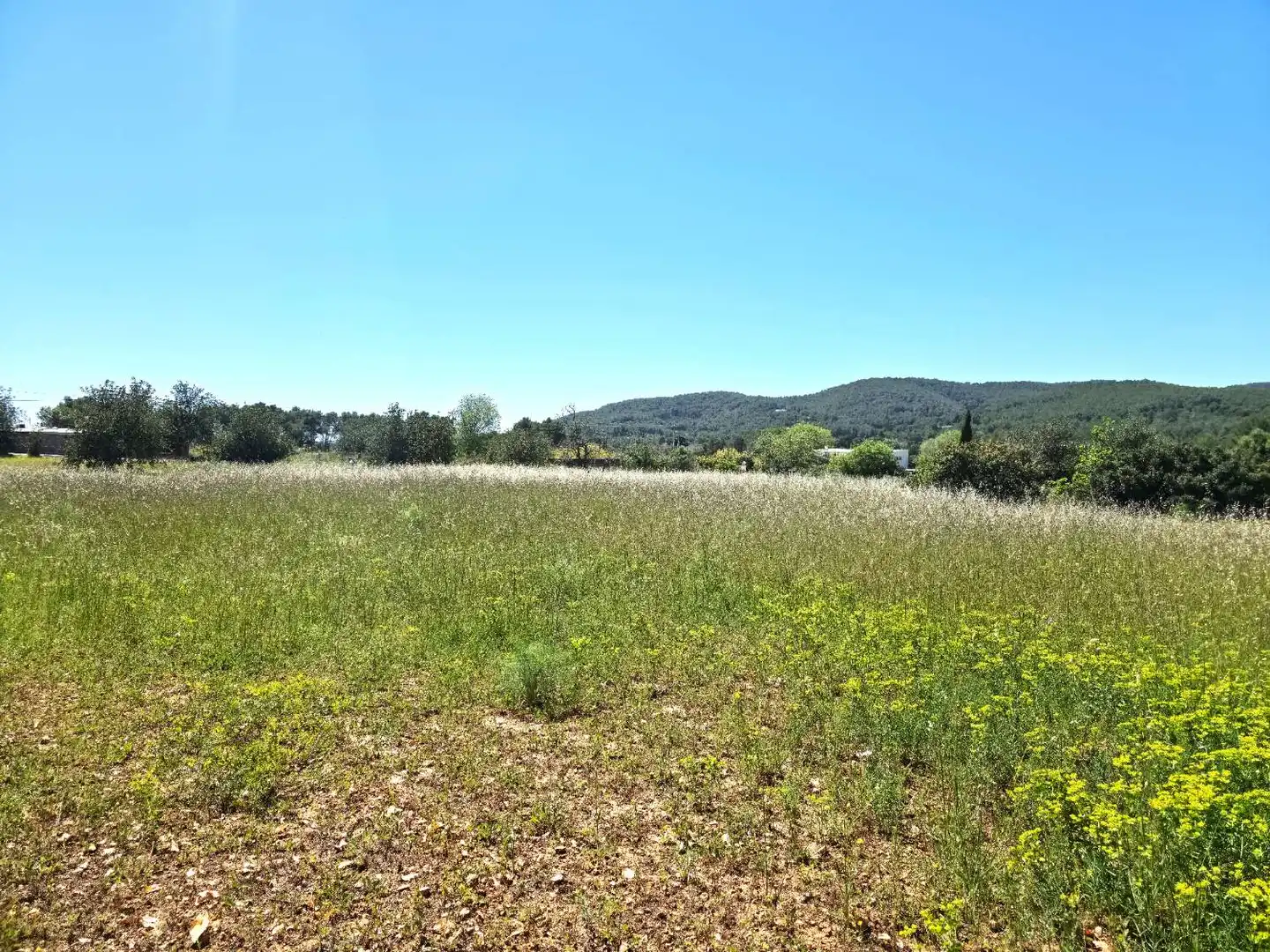 Terrenys i solars en venda a Sant Joan de Labritja, imagen 4