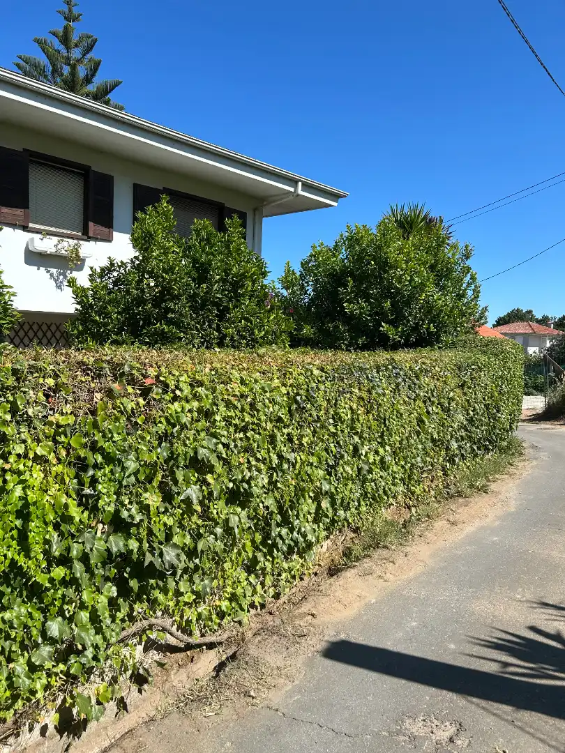 Vista exterior de Casa o chalet en venta en Vigo  con Calefacción, Jardín privado y Parquet