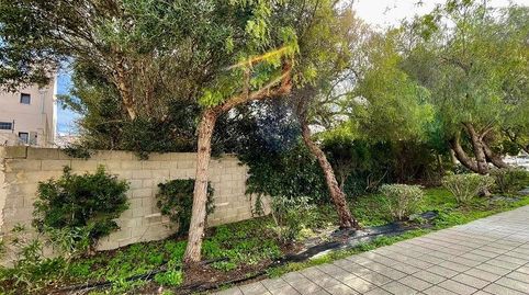Foto 4 de Residencial en venta en Son Ramonell - Es Figueral, Marratxí