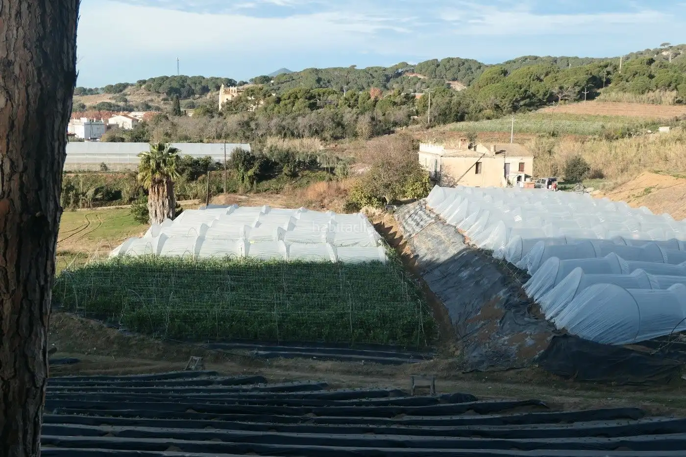Land for sale in Canet de Mar