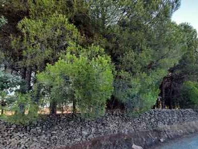 Terreno en venta en Santa Cruz de Paniagua