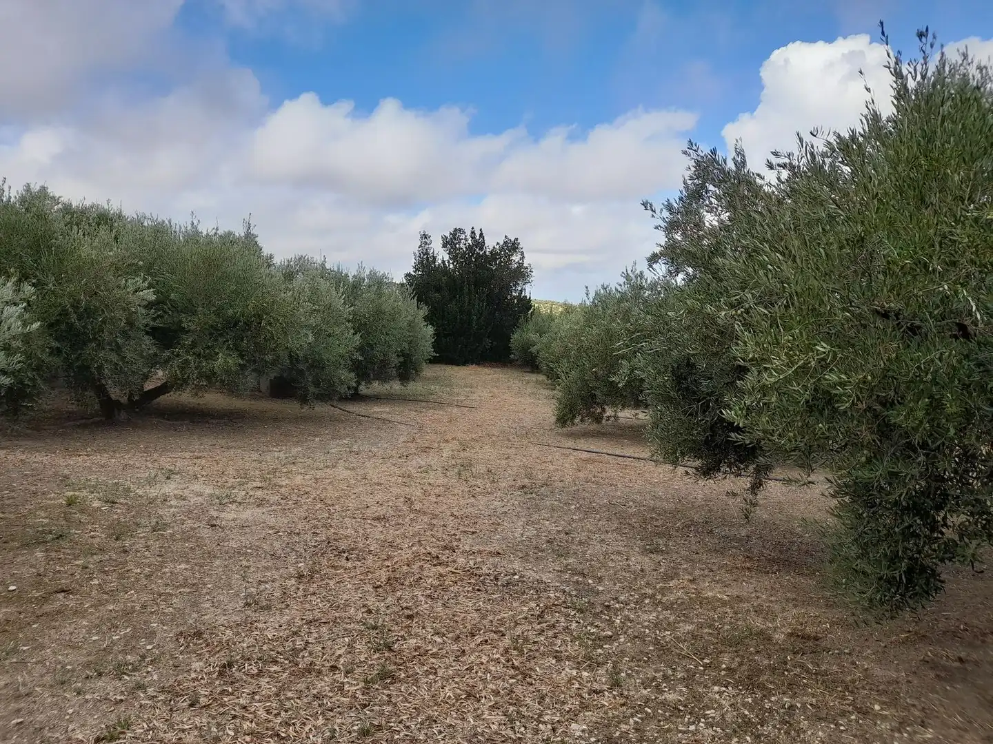Casa o chalet en venta en Jamilena con Jardín privado, Terraza y Trastero